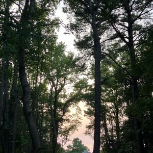 Meet your Posher, Kirra